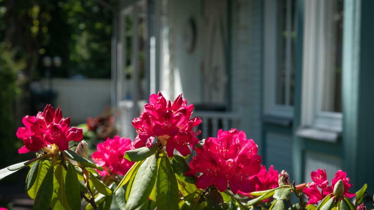 Parus Boutique Hotel Jūrkalne Kültér fotó